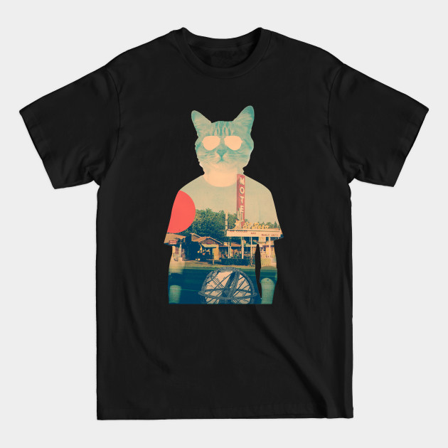 Discover Cool Cat - Cool Cats - T-Shirt