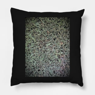 Hedge trimmed Pillow