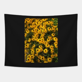 Daisies Tapestry
