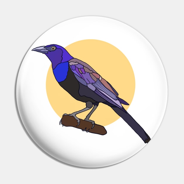 Common Grackle Pin by New World Aster 