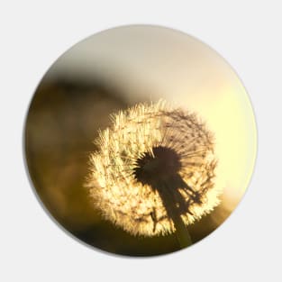 Dandelion Sunset Photo Pin