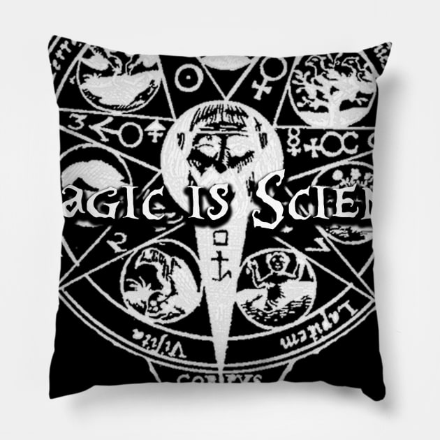 Magic is Science Pillow by karissabest