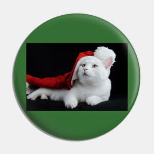 Christmas Cat Pin