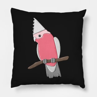 Dunce Galah Pillow