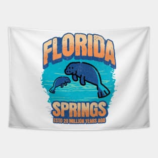 Florida Springs: A Natural Wonder Created 20 Million Years Ago Tapestry