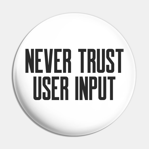 Secure Coding Never Trust User Input Pin by FSEstyle