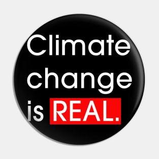 climate change is real Pin