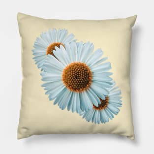 Soft flower Pillow