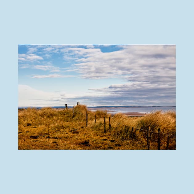 Druridge Bay Sand Dunes by Violaman