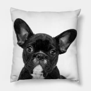 Black and White French Bulldog Pillow