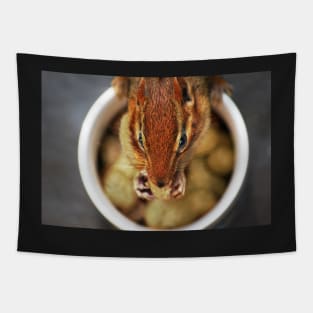 Chipmunk with peanuts Tapestry