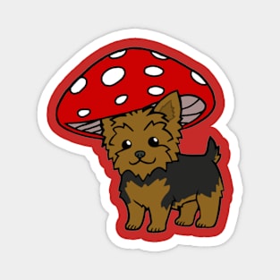 Yorkshire terrier Mushie Magnet