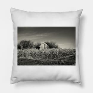 Dilapidated Barn Pillow