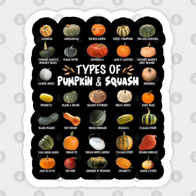 Types of Pumpkins And Squash Autumn Halloween Thanksgiving - Types Of Pumpkins And Squash Autumn - Sticker