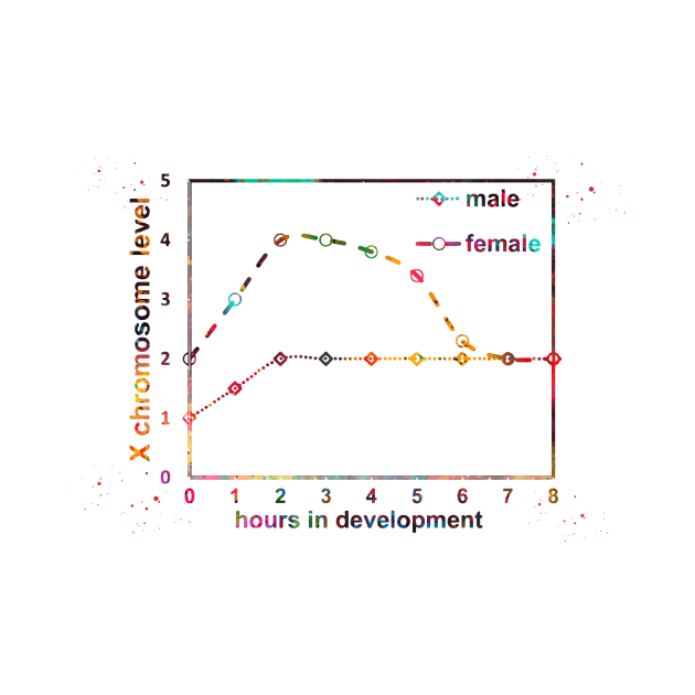 X chromosome expression levels in the two sexes by erzebeth