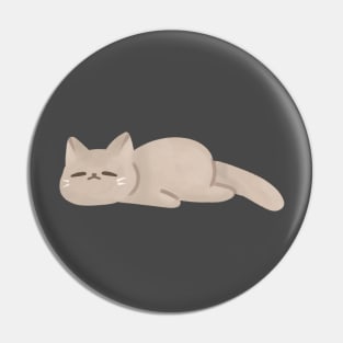 cute lazy cat sleeping Pin