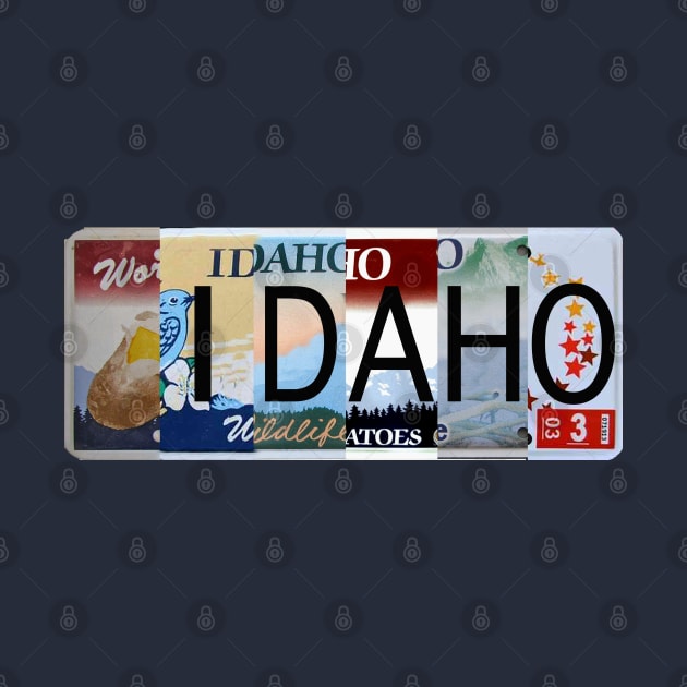 Idaho License Plates by stermitkermit