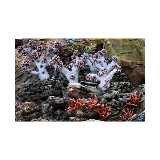 Coral Sculpture. Vladivostok Oceanarium by IgorPozdnyakov