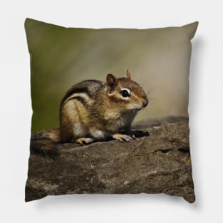 Chipmunk Pillow