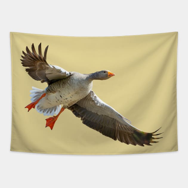 Goose coming into land Tapestry by dalyndigaital2@gmail.com