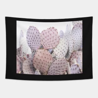 Plant print, Cacti, Cactus print, Scandinavian print, Scandinavian, Trendy print, Styled, Scandinavian art, Modern art, Wall art, Print, Minimalistic, Modern Tapestry