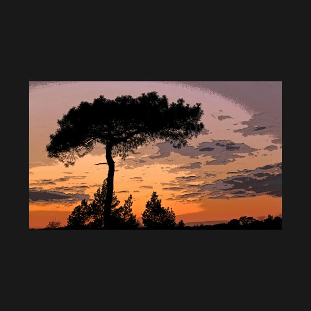 Heathland Silhouette by RedHillDigital