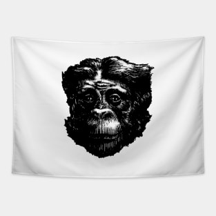 Bonobo 2 Tapestry