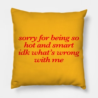 Sorry For Being So Hot And Smart Idk What’s Wrong With Me Pillow