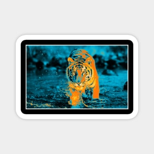 Tiger Pop art 7 Magnet