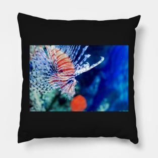 Red lionfish or zebrafish underwater Pillow