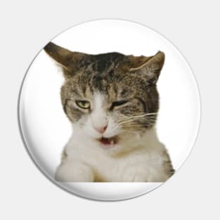 Funny cute cat memes Pin