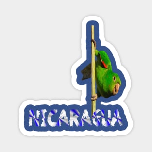 Nicaragua Parrot Magnet