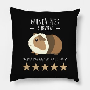 Guinea Pig Review Pillow