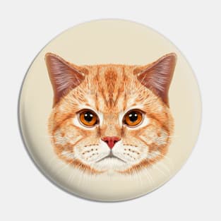 Orange Tabby Cats Face Pin