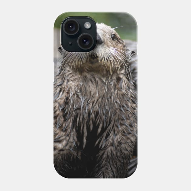 Cute Sea Otter Phone Case by DeniseBruchmanPhotography