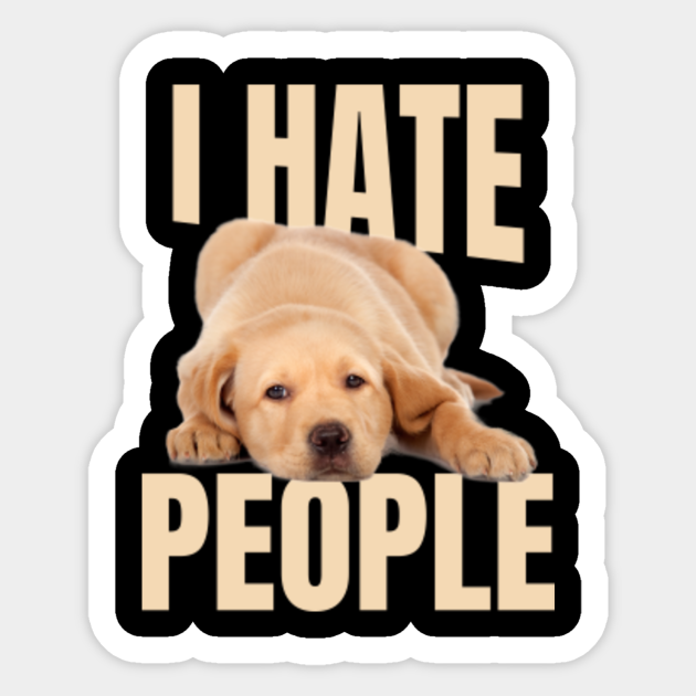 Funny Labrador Meme Dog Memes Sticker Teepublic