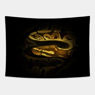 Python Tapestry