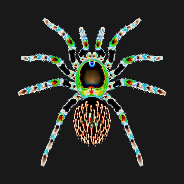 Psychedelic Spider One by crunchysqueak