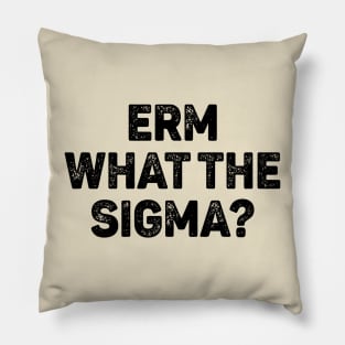 Erm What The Sigma Pillow