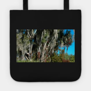 Fall into Central Florida Tote