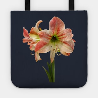 Amaryllis - Amaryllis Apple Blossom Tote