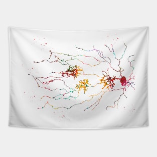 Starburst Tapestry