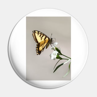 Swallowtail Butterfly Pin