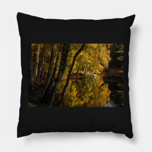 'Autumn Magic 3', Dunmore Loch, Pitlochry Pillow