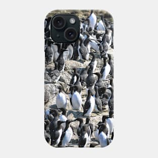 Guillemot colony on the Farne Islands - Northumberland, UK Phone Case