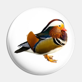 Mandarin duck Pin