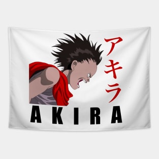 Akira Tapestry