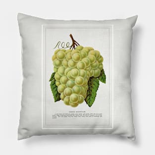 Green Mountain Grape Lithograph (1900) Pillow