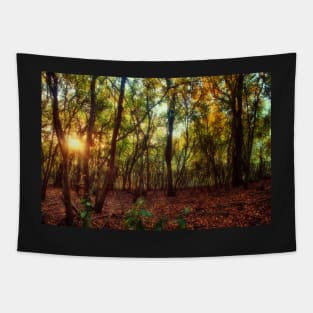 Magic in Wild Woods Tapestry