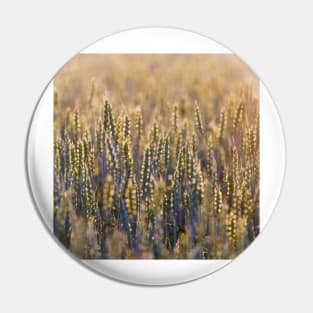 Common Wheat Pin